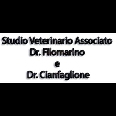 Medico Veterinario Dott.ssa Gigliola Filomarino c/o la struttura Vet4Pet - Immagine 1