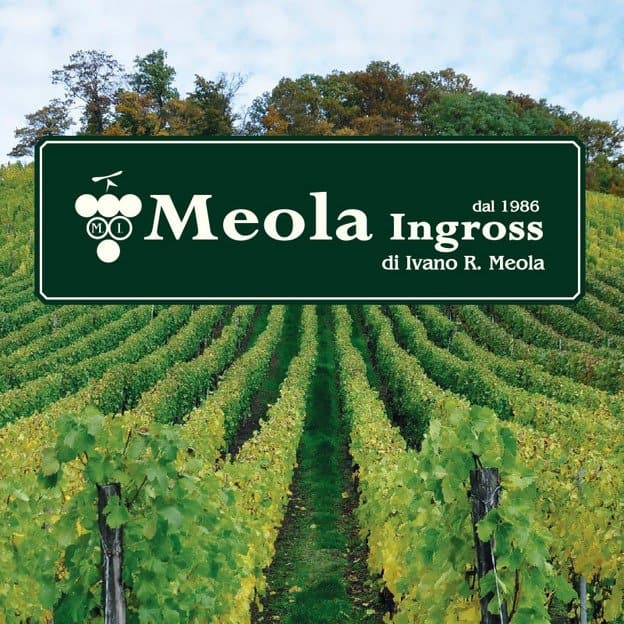 Meola Ingross Viticoltura Enologia - Immagine 1