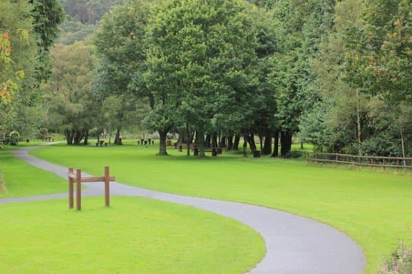 Nasini Stefano Giardinaggio - Immagine 1