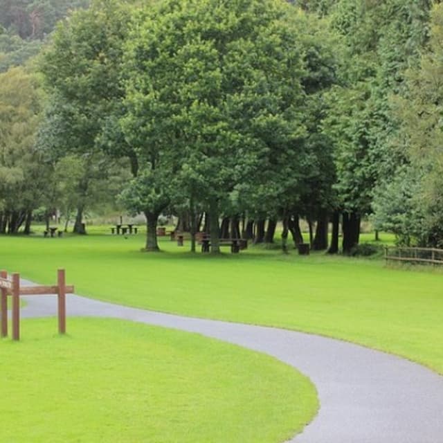 Nasini Stefano Giardinaggio - Immagine 2