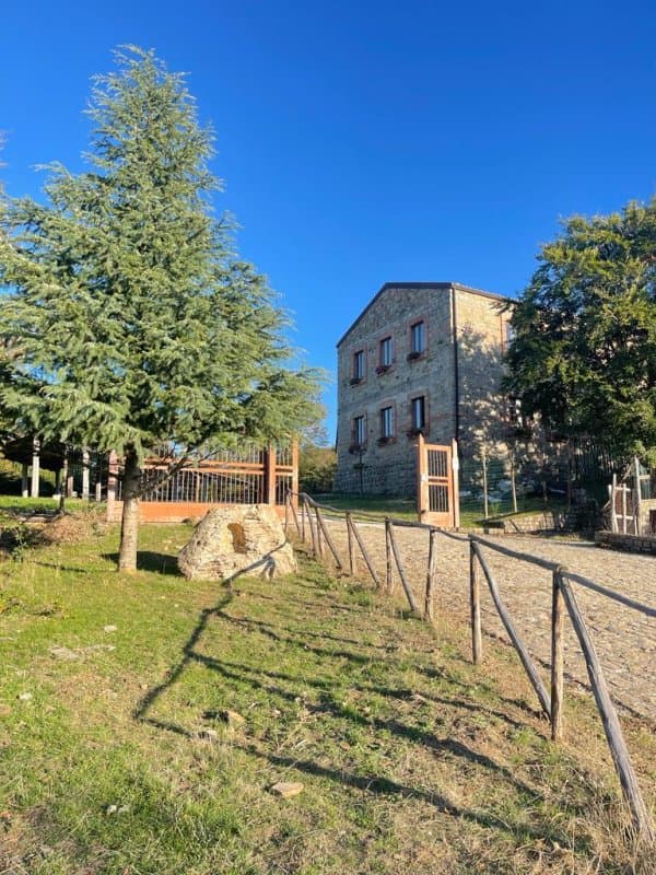 Nebris Rifugio del Parco - Immagine 2