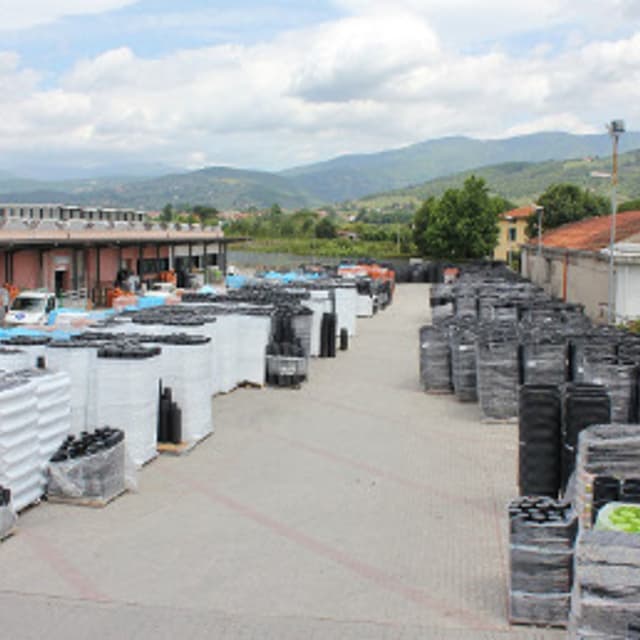 N.G. Niccolai - Immagine 1