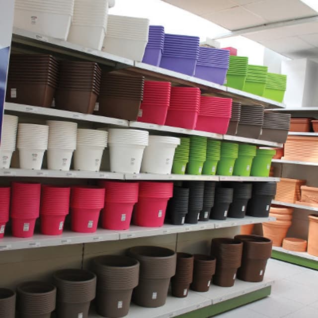 N.G. Niccolai - Immagine 2