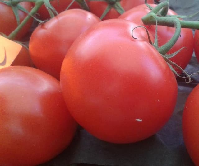 Non Solo Frutta - Immagine 1