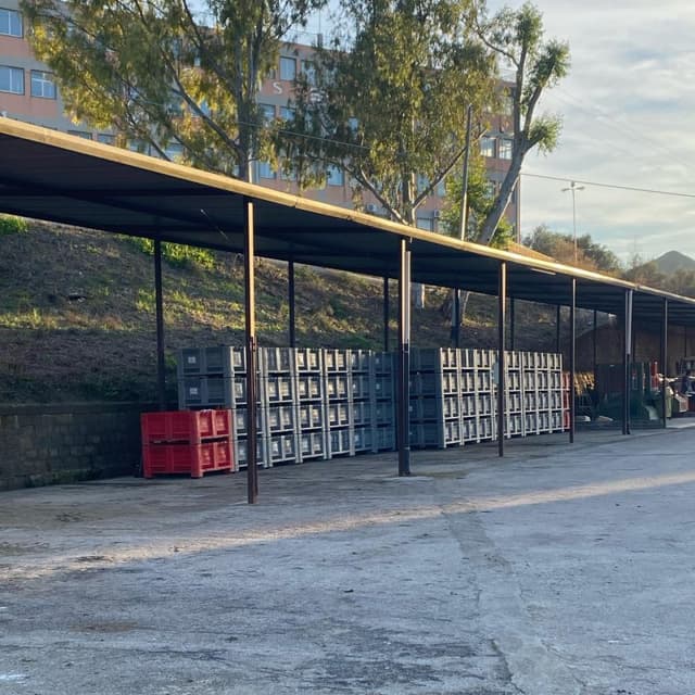 Oleificio Baio - Immagine 2