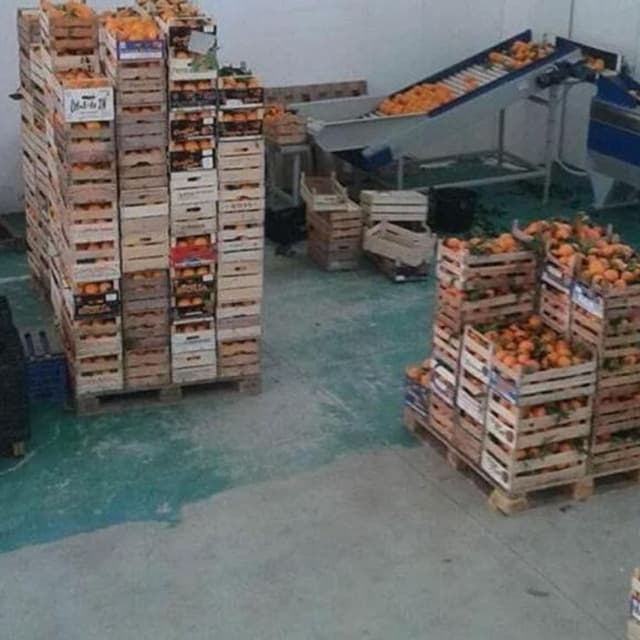 Ortofrutta F.lli Piazza - Immagine 1