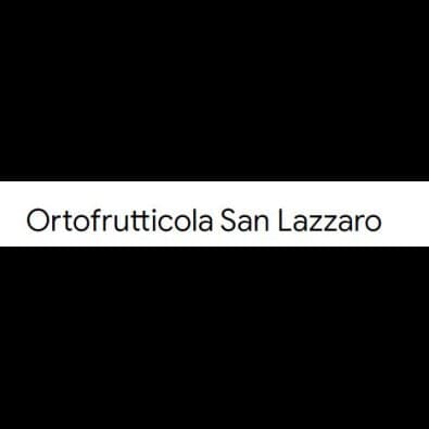Ortofrutticola San Lazzaro - Immagine 2