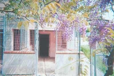 Pensione per Animali dall'Ape alla Zebra - Immagine 2