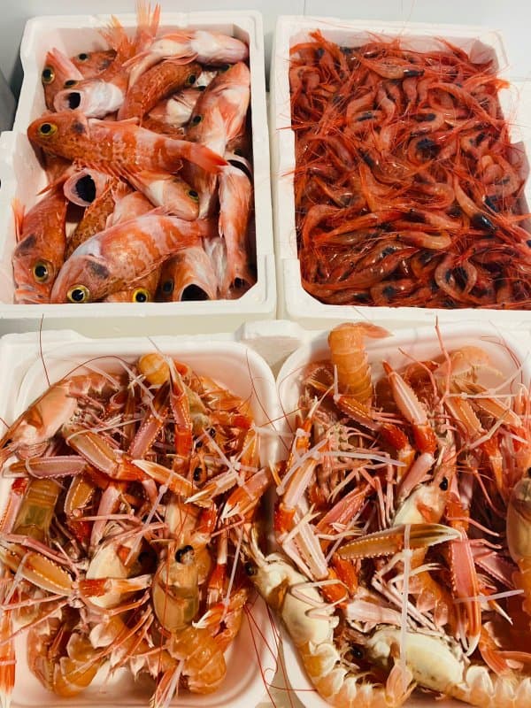 Pesce Fresco Agostino S.a.s. di Catalano Sara & C. - Immagine 2