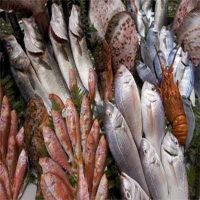 Pescheria da Marino di Marcon Marino - Immagine 1