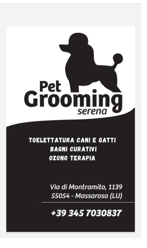 Pet Grooming Serena Toelettatura Cani e Gatti - Immagine 2
