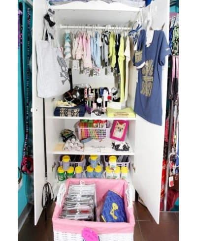 Pet Model Toeletta ed Accessori per Animali - Immagine 1