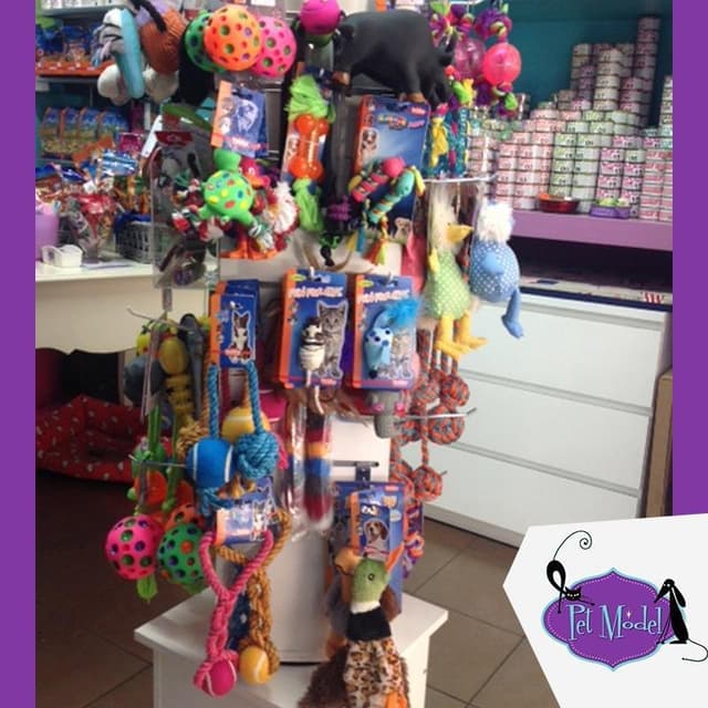Pet Model Toeletta ed Accessori per Animali - Immagine 2