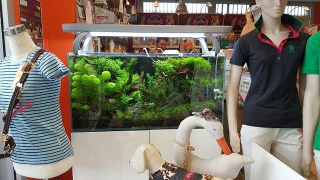 Pet World - La Casa di Snoopy Mentana - Immagine 1