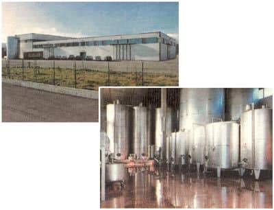 Piersanti Verdicchio - Vini e Spumanti - Immagine 1