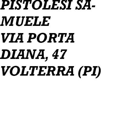 Pistolesi Samuele - Immagine 2