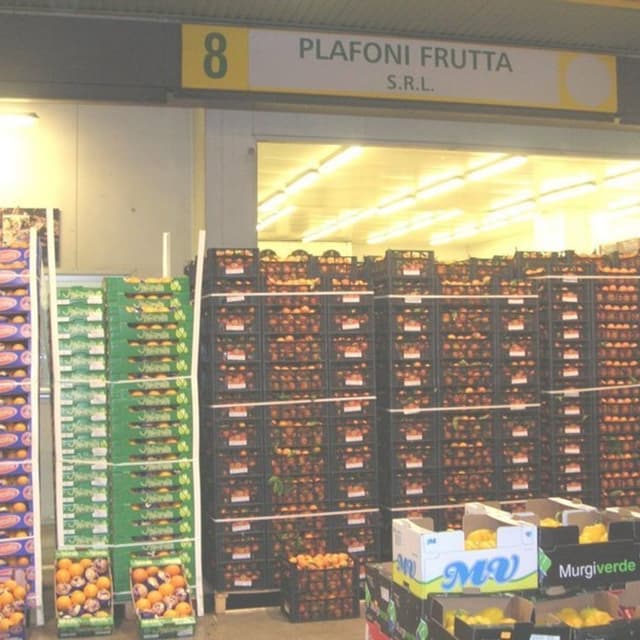 Plafoni Frutta - Immagine 1