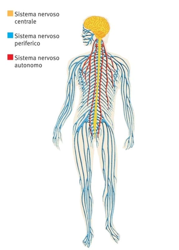 Poliambulatorio Medicina Fisica Riabilitazione Neurofisiologia Clinica - Immagine 1