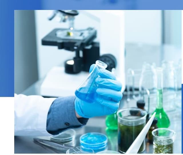 Primelab - Immagine 2