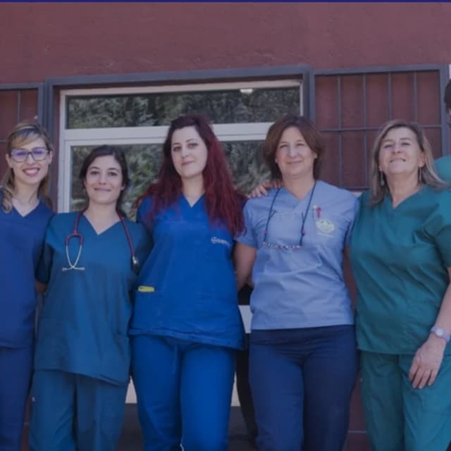 Pronto Soccorso Veterinario 24h - CLINICA VETERINARIA PONTE FELCINO - Immagine 2
