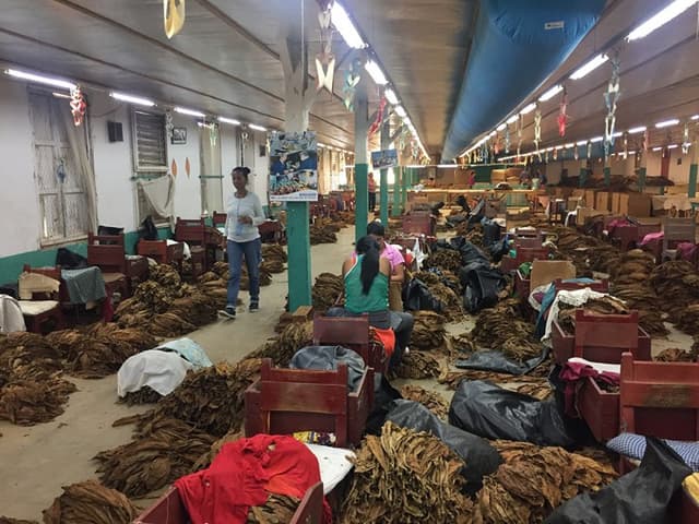 Rinaldi Carlo - Immagine 2