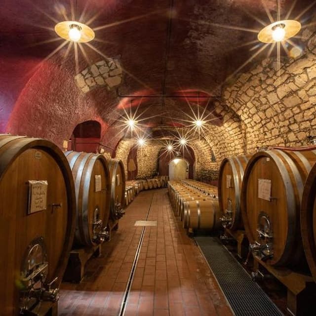 Roberto Mazzi e Figli Cantina ed Enoagriturismo - Immagine 1