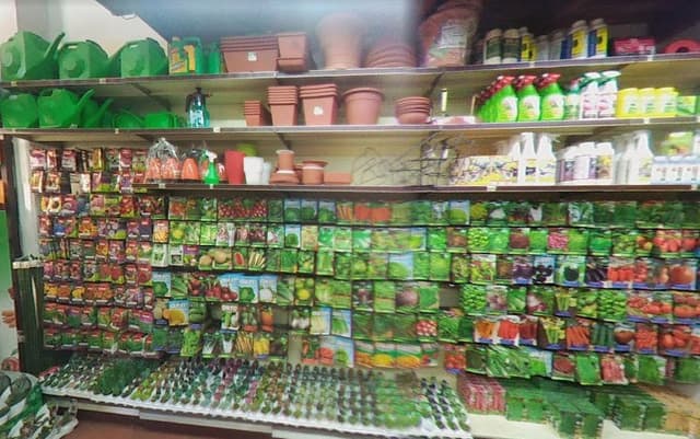 Sanguinetti Sementi - Immagine 1