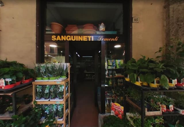 Sanguinetti Sementi - Immagine 2