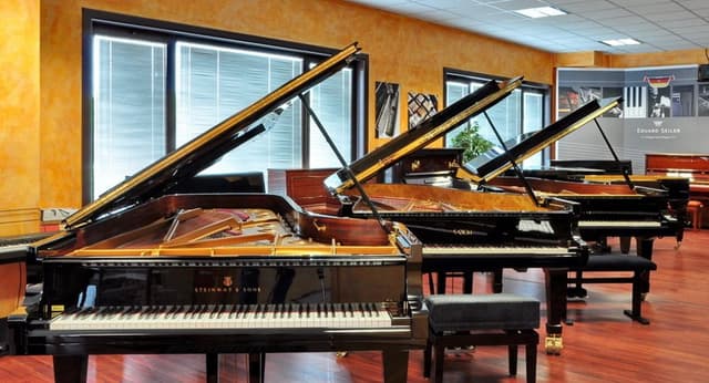 Serazio Pianoforti - Immagine 1