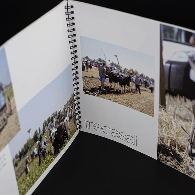 Sergraf - Immagine 2