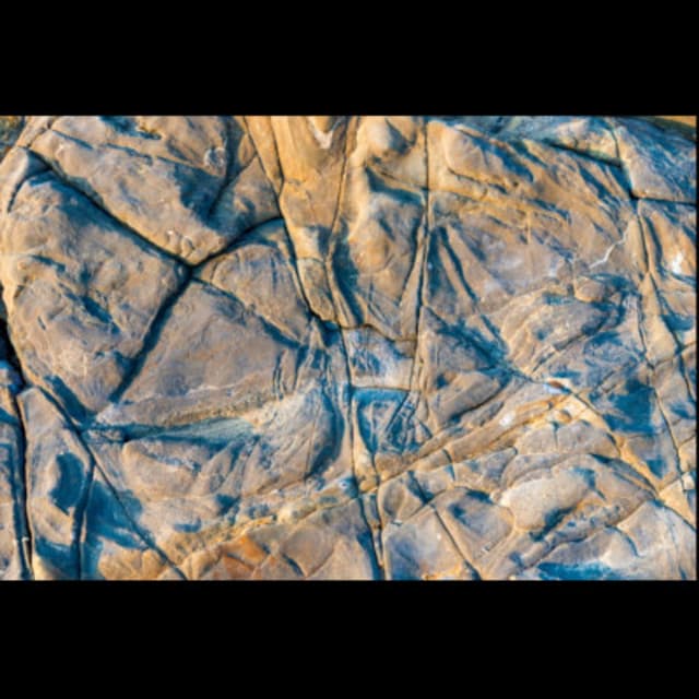 Servizi Sismici - Immagine 1