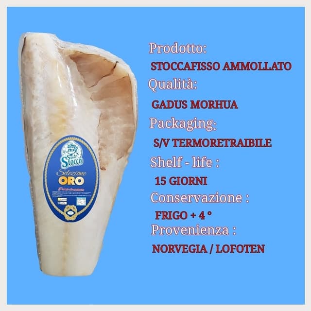 Signor Stocco - Immagine 1