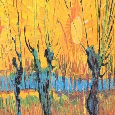 Silvia Micali Psicologa Psicoterapeuta Psicoanalista - Immagine 2