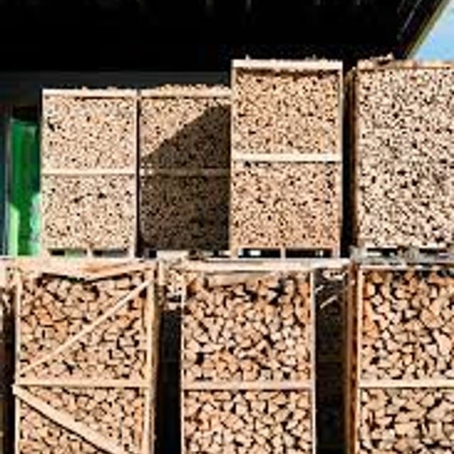 Slongo 3 S - Immagine 2