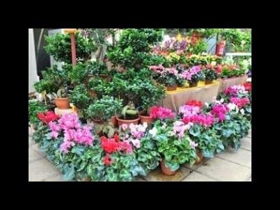 Società Agricola Garden La Serra - Immagine 2