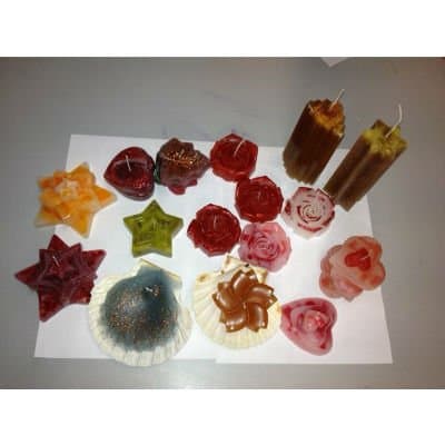 Società Cooperativa Sociale Il Gabbiano – Il Pino - Immagine 1