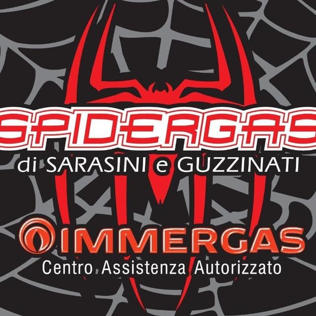 Spidergas Assistenza Immergas - Immagine 1