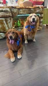 Strapazzami di Coccole - Immagine 1