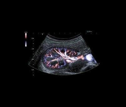 Studio Radiologico Sestu - Immagine 1