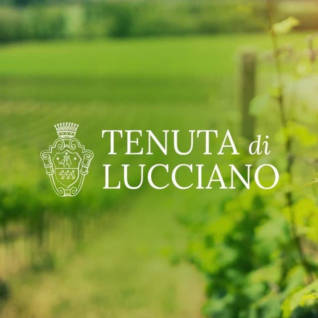 Tenuta di Lucciano - Gestioni Agricole Spalletti - Immagine 1