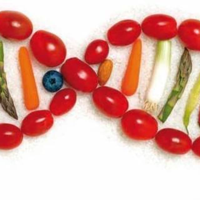 Traina Dott.ssa Concetta Biologa Nutrizionista - Immagine 2
