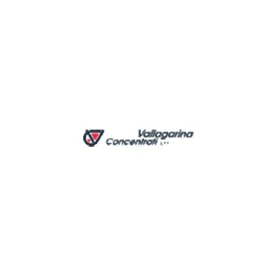 Vallagarina Concentrati - Immagine 1