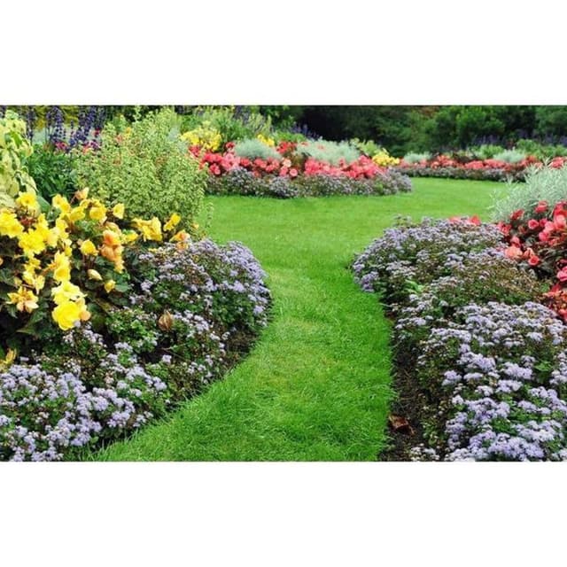 Verde Vivo Manutenzioni e Realizzazione Giardini - Immagine 2