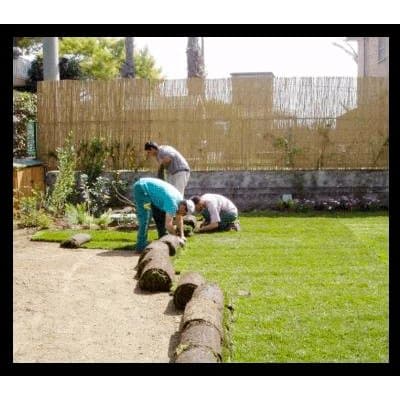 Vivai dell'argento - Immagine 2