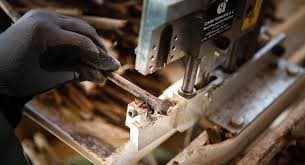 Vivai Truant Lindo - Immagine 1