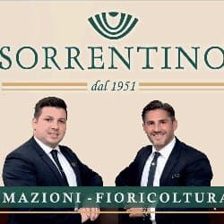 Agenzia Funebre Dal 1880 Erminio Pani Gruppo Sorrentino