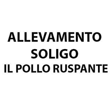 Allevamento Soligo Il Pollo Ruspante