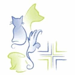 Ambulatorio Veterinario Conti - Porretta Grottaferrata Vets