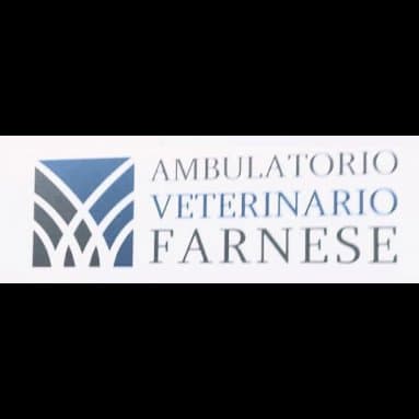 Ambulatorio Veterinario Farnese