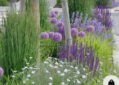 Andrea Arrighi Bertolani - mr Arbe garden & nursery